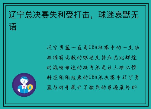 辽宁总决赛失利受打击，球迷哀默无语